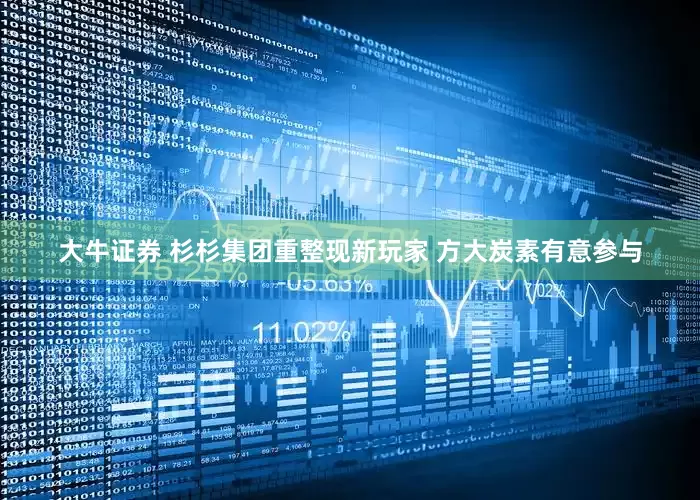 大牛证券 杉杉集团重整现新玩家 方大炭素有意参与